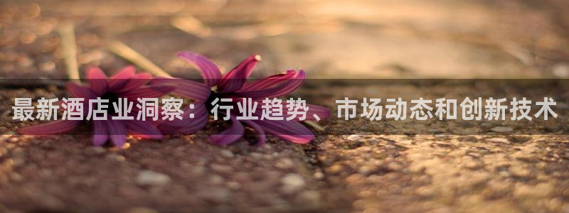 williamhill英国威廉希尔|最新酒店业洞察：行业趋势
