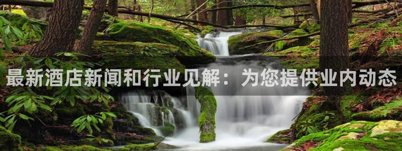 威廉希尔官网官方网站app|最新酒店新闻和行业见解：为您提供
