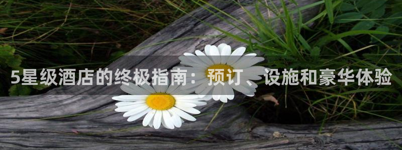 威廉希尔中文网站平台|5星级酒店的终极指南：预订、设施和豪华